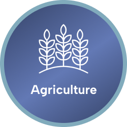 Agriculture